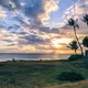 Maui Strong