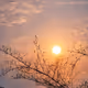 The story of the sun tied to a branch.