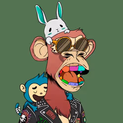 项目媒体占位符