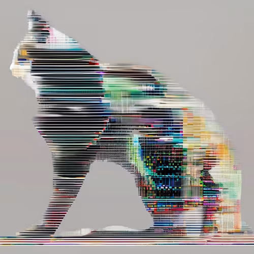 Purpcats 1