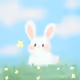 My Rabbit