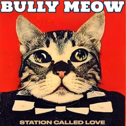 BULLY MEOW'S ONCHAIN SUMMER 2024