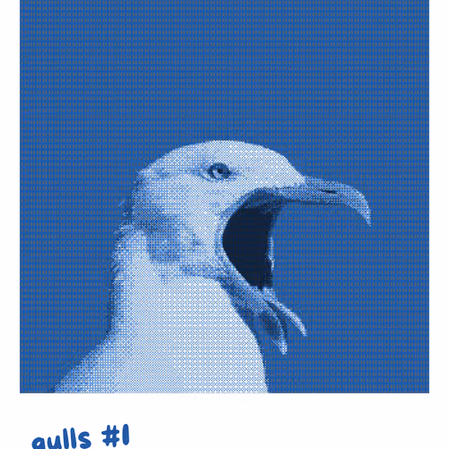 Gullswtf