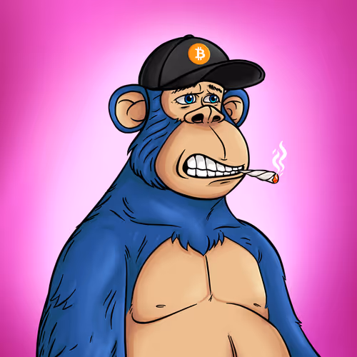 Fat Ape Club 1