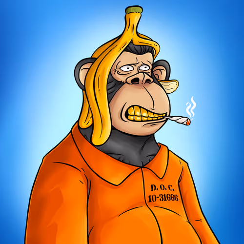 Fat Ape Club 1