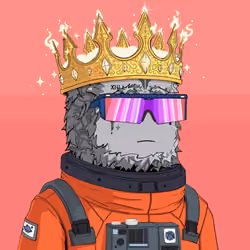 Based Wookz