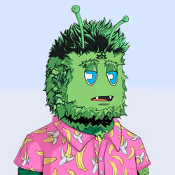 3446