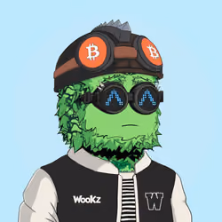 Based Wookz