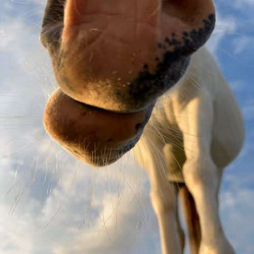 206