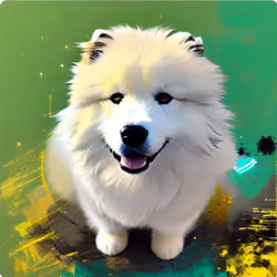 Samoyed #1