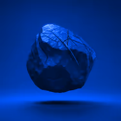 Item Media