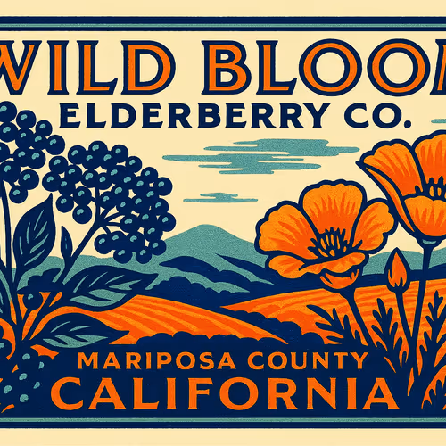Wild Bloom Elderberry Co Early Access