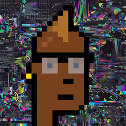 555