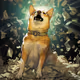 Aptos Lucky Shiba