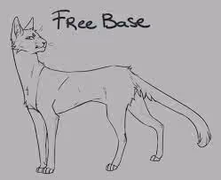 cat base