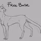 cat base