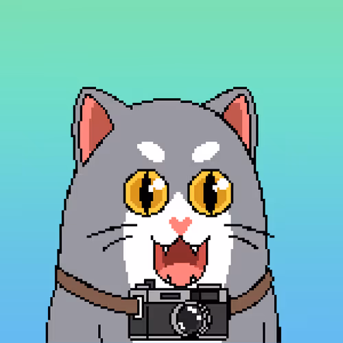 Item #397 Media