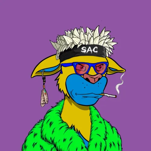 Sneaky Arrogannt Cnuts V2