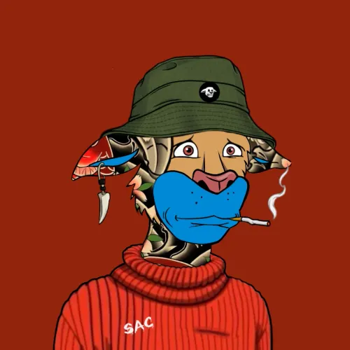 SAC V2 #8857