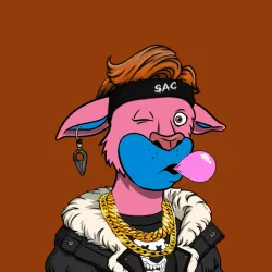 SAC V2 #5189