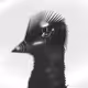 70