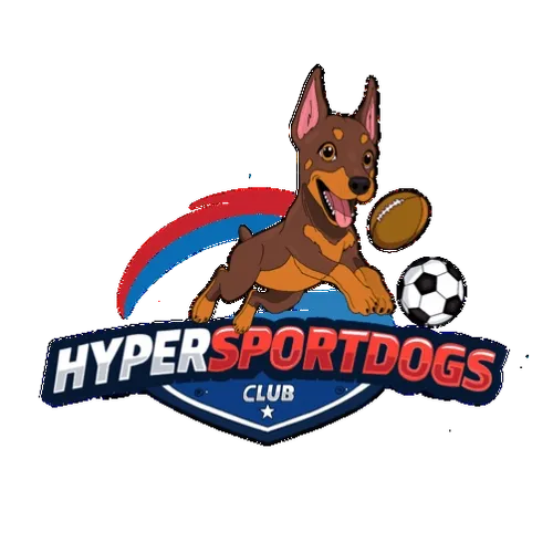 Unrevealed Hyper Sportdog 