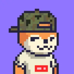 Foxes #567