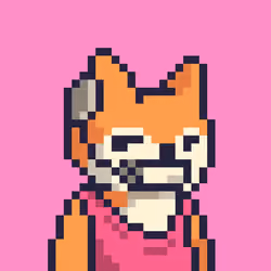 Foxes #561