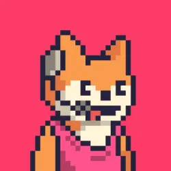 Foxes #244