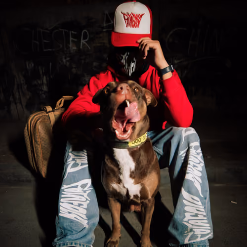 Akira 