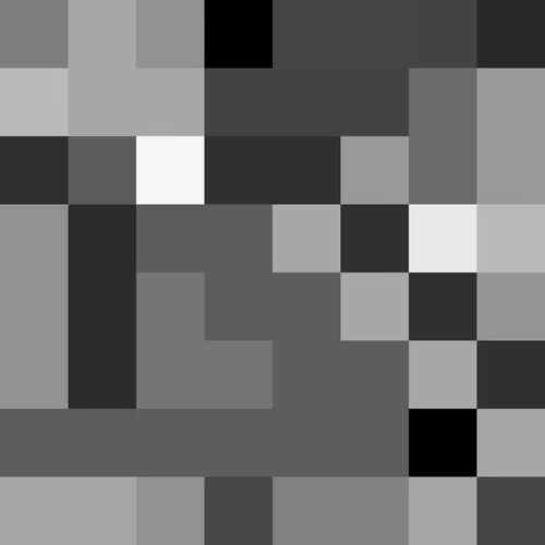 Item #29 Media