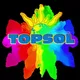Year 2035 - TOPSOL is 10 Years OLD!