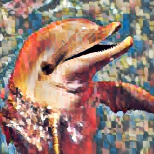 Dolphin edition v1