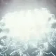 226