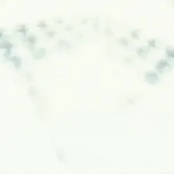 204