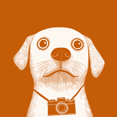 Summer Zoolini - Dog