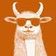 Summer Zoolini - Yak