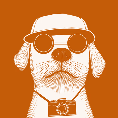 Item #313 Media