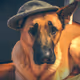 Dog With Hat on Base