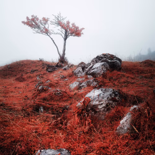 Jonas Hangartner - 8453