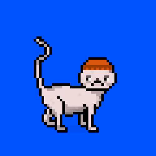 Felinespunks