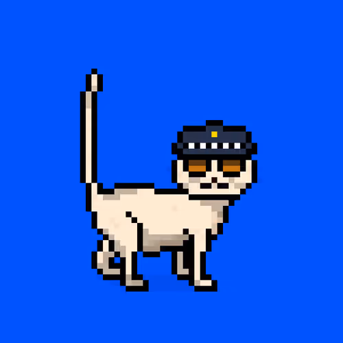 Felinespunks