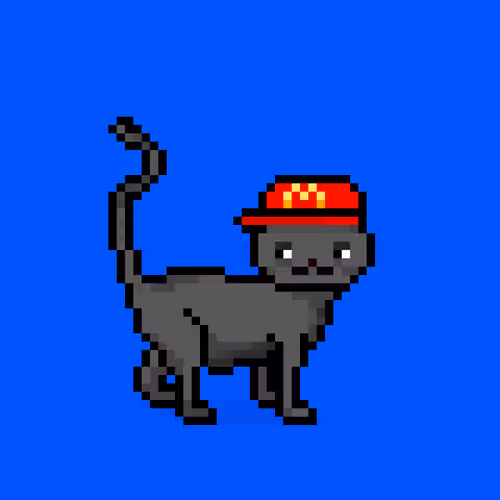 Felinespunks