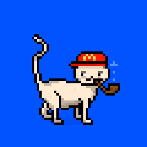 Felinespunks