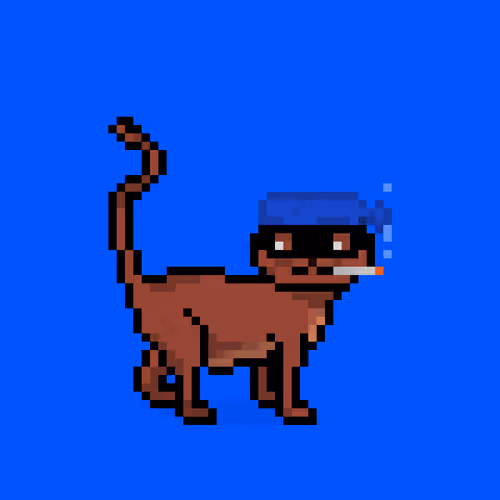Felinespunks