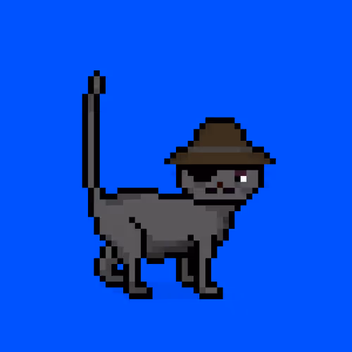 Felinespunks