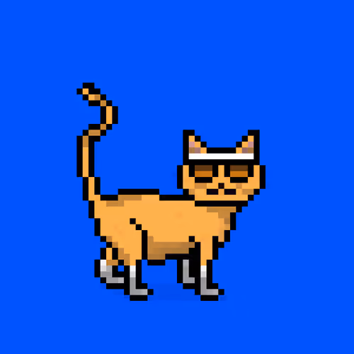 Felinespunks