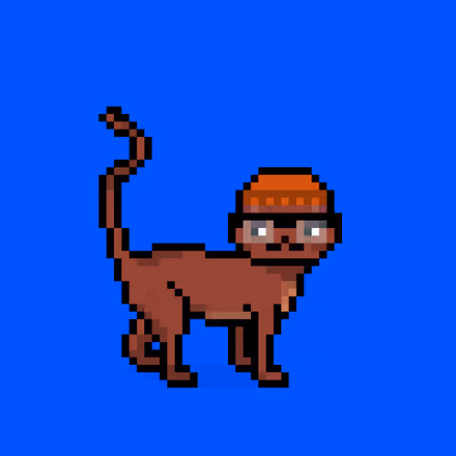 Felinespunks