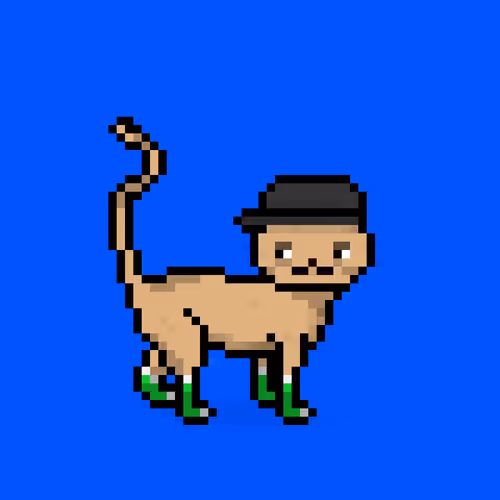 Felinespunks