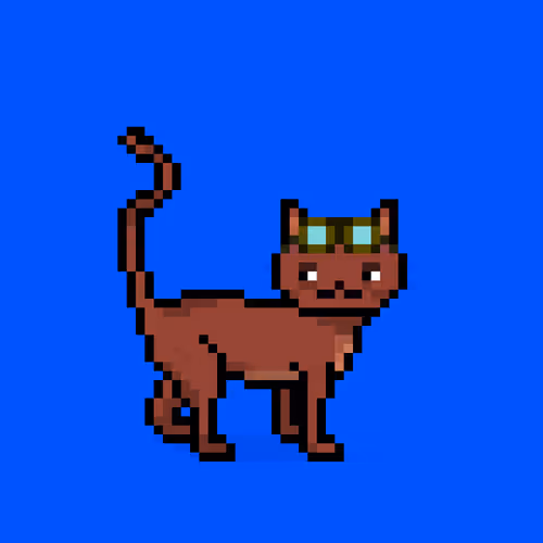 Felinespunks